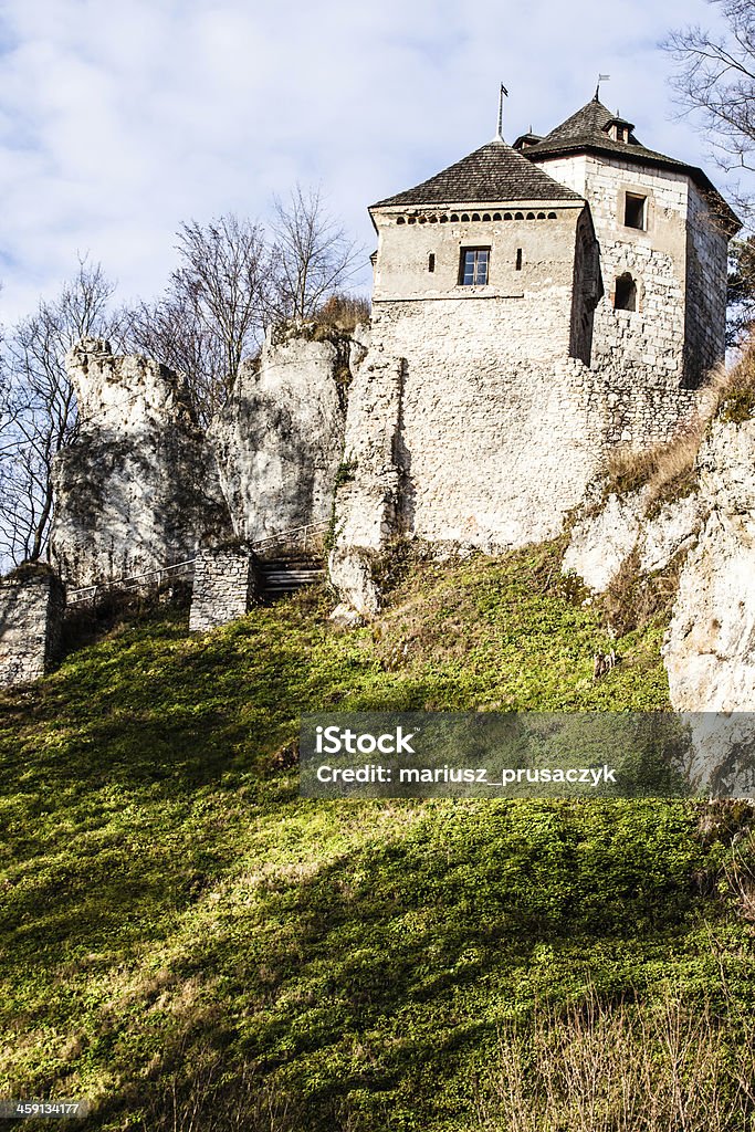 Ruínas do castelo em uma colina na Ojcow, Polônia - Foto de stock de Castelo royalty-free
