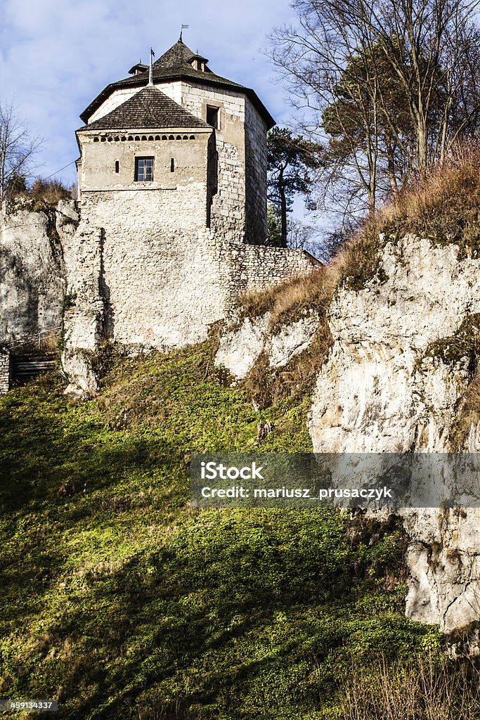 Castle-Ruinen auf dem Hügel top in Ojcow, Polen - Lizenzfrei Schlossgebäude Stock-Foto