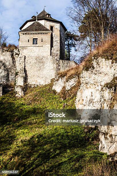 Castleruinen Auf Dem Hügel Top In Ojcow Polen Stockfoto und mehr Bilder von Schlossgebäude - Schlossgebäude, Fotografie, Gärtnern