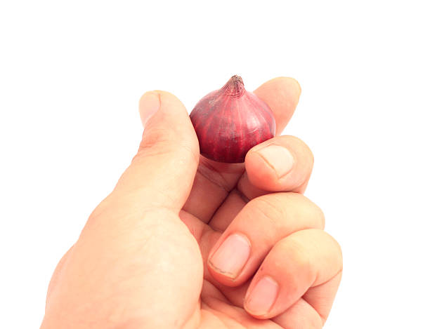 istock Hand holding a shallot isolated on white 459135819
