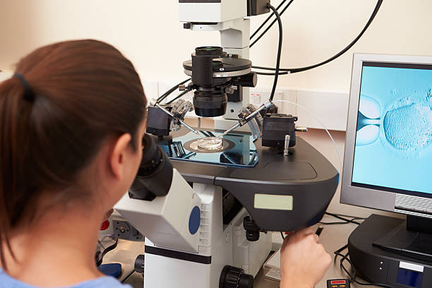 istock Laboratory Fertilization Of Eggs In IVF Treatment 459140367