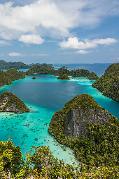istock Wayag island viewpoint,Raja ampat,Indonesia 459142771