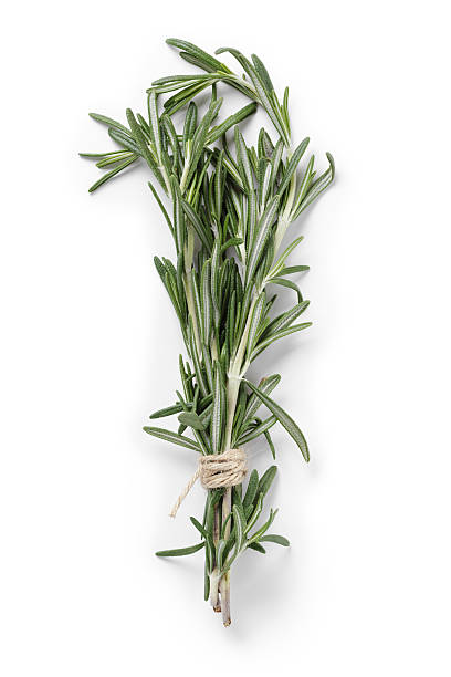 신선한 rosemary 번치 - rosemary herb freshness twig 뉴스 사진 이미지