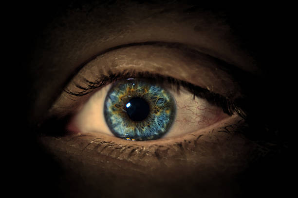 Eye1 stock photo