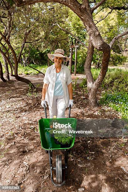 Woman Wearing A Straw Hat And Holding Wheelbarrow — стоковые фотографии и другие картинки Лето - Лето, Тачка, 50-59 лет