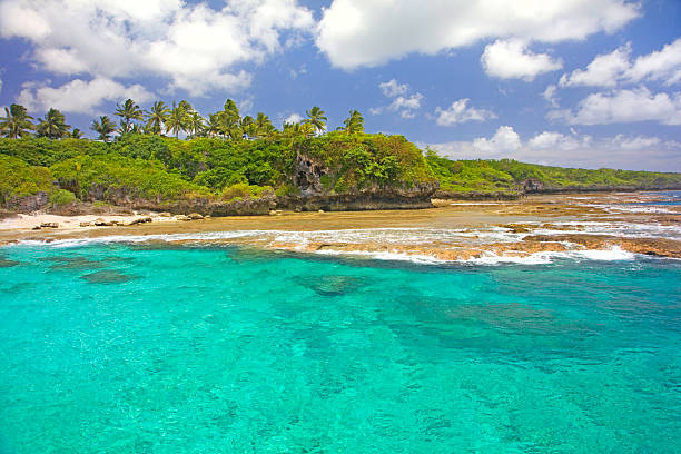 litoral de alofi, niue, pacífico sur de la isla. - south pacific ocean island polynesia tropical climate fotografías e imágenes de stock