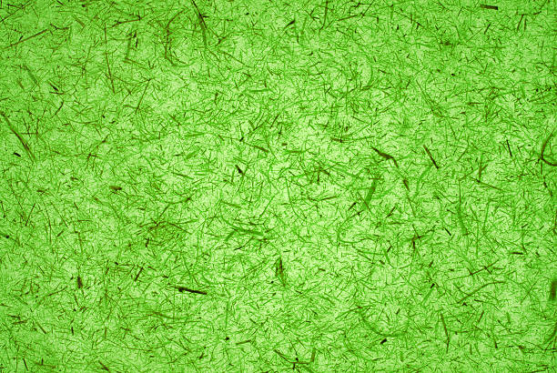 verde feitos à mão padrão de textura de papel de arroz - paper mulberry japanese culture art - fotografias e filmes do acervo