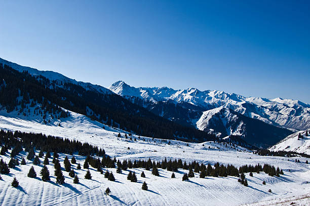 Kazakhstan near Almaty in Winter. (National Park)