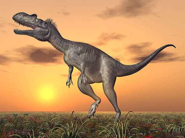 dinosaur megalosaurus - hugely photos et images de collection