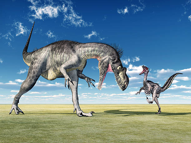 istock Megalosaurus and Velociraptor 459158833
