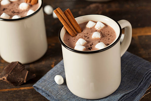 Gourmet Hot Chocolate Milk Gourmet Hot Chocolate Milk with Cinnamon and Marshmallows hot chocolate photos stock pictures, royalty-free photos & images