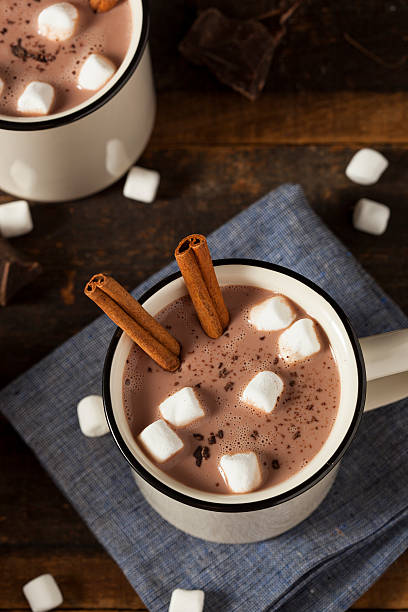 istock Gourmet Hot Chocolate Milk 459162137