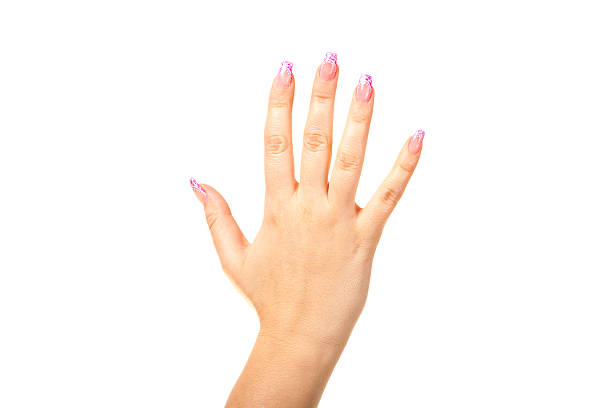 istock female hand on the isolated background 459164311
