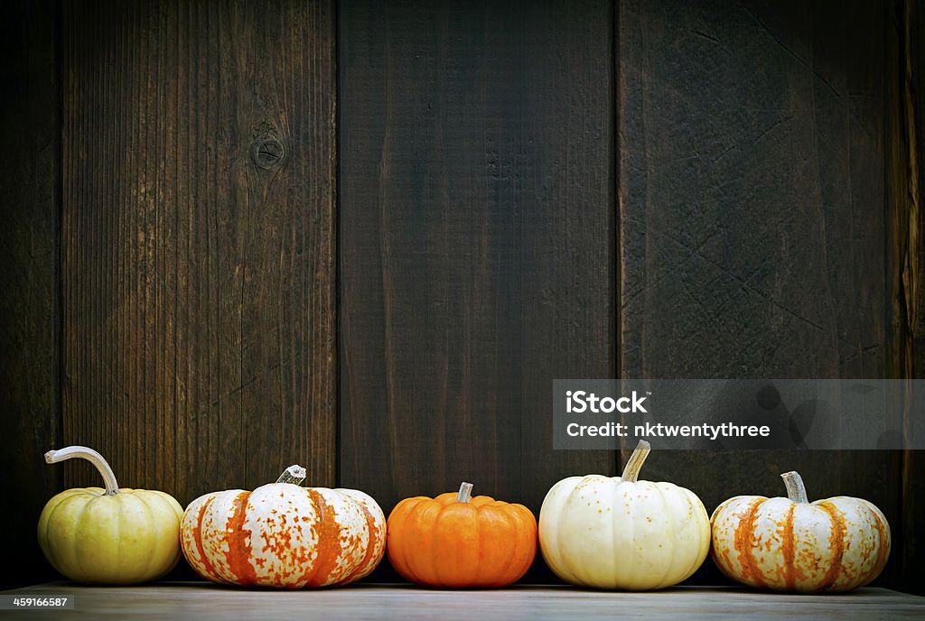 Pumpkin frame Five colorful pumpkins set against a moody old wood background, with room for your message Gourd Stock Photo