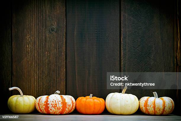 Pumpkin Frame Stock Photo - Download Image Now - Gourd, Table, Announcement Message