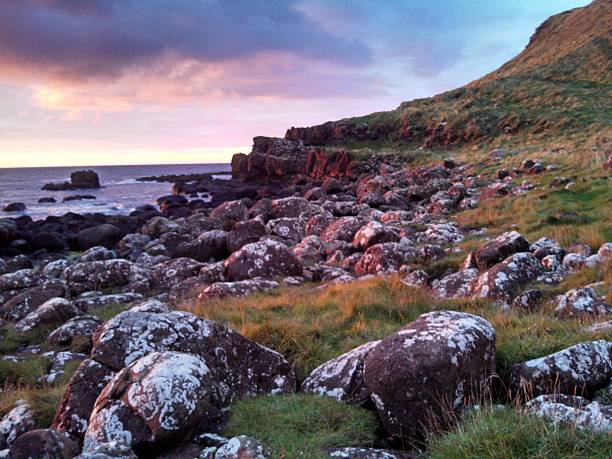 rocky bolders na costa de giant's causeway, condado de antrim - national trust northern ireland uk rock imagens e fotografias de stock