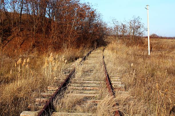 istock Old rusty abandoned rails and sleepers 459179869