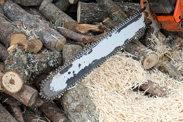 istock Electric Saw with woods 459189623