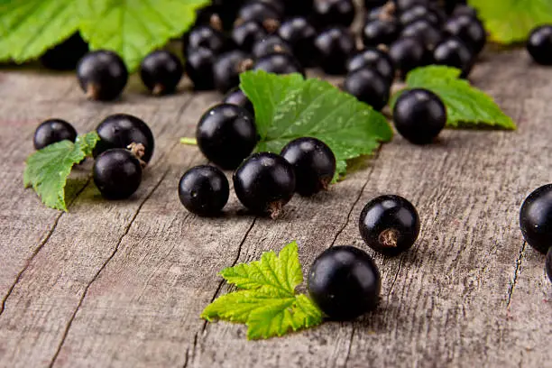 Fresh black currant on wood