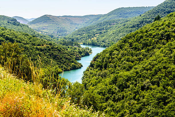 istock Valley of Tarn (Midi-Pyrenees) 459193099