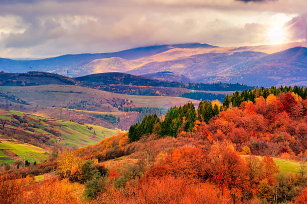 istock autumn hillside with Colorful foliage trees near valley 459193813