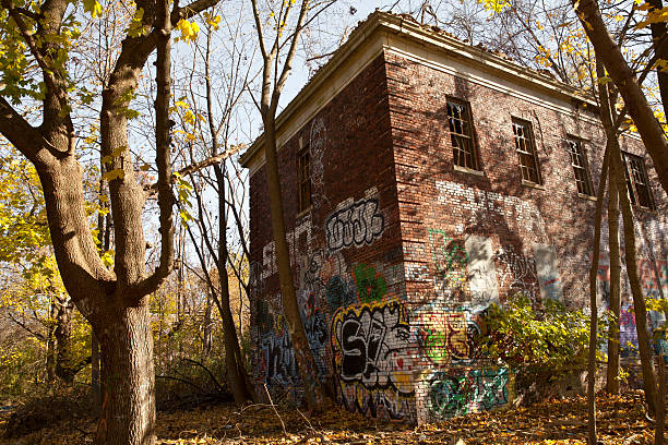 30+ Woods Staton Stock Photos, Pictures & Royalty-Free Images - iStock