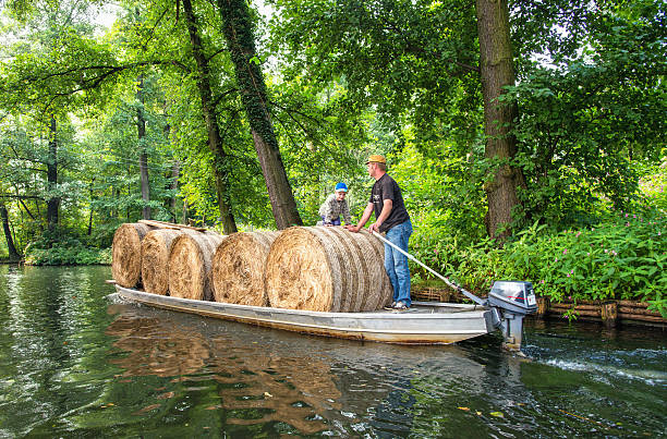 干し草ベイルズ交通機関の spreewald - シュプレーヴァルト ストックフォトと画像