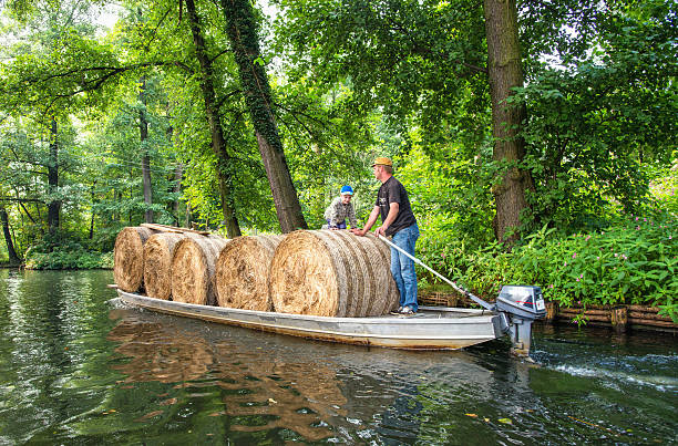 Hay bales transportation in the Spreewald Lübbenau, Germany - August 31, 2013: A farmer and a child are transportating hay bales through the Spreewald. In the Spreewald forest and wetlands, with its 200 small canals and waterways, arks are still the mode of transport of choice for the daily life and many farmhouses can only be reached by boats. The Spreewald´s main area around Lübbenau and Lehde is located about 100 km south-east of Berlin. In 1991 it was designated as biosphere reserve by UNESCO. spreewald stock pictures, royalty-free photos & images