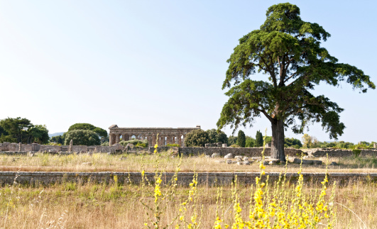 Detail of one of the temples in the valley of Paestum