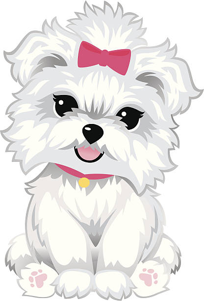 Furry White Puppy vector art illustration