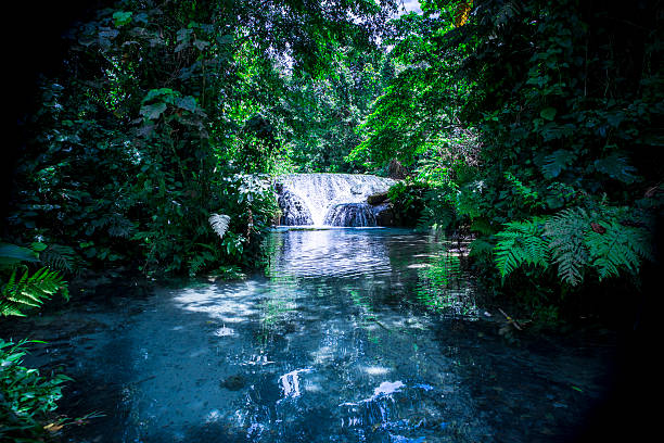 Forêt de Blue lagoon avec cascade - Photo