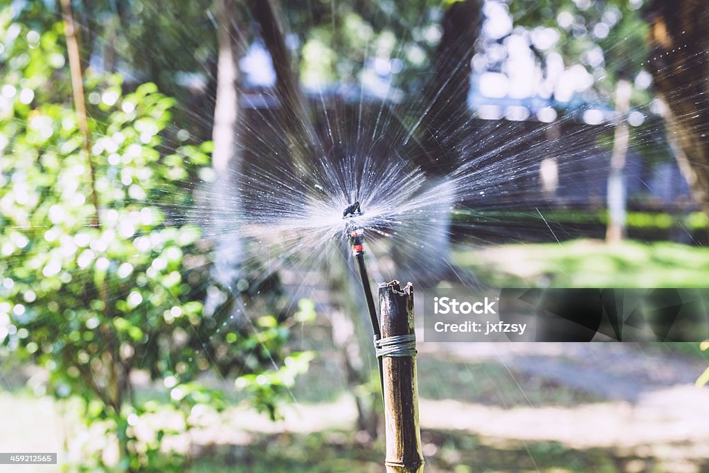 Annaffiare - Foto stock royalty-free di Acqua