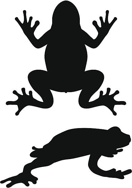 Frog Frog Silhouette frog stock illustrations