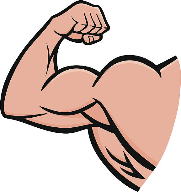 прочные руки - flexing muscles men human muscle human arm stock illustrations