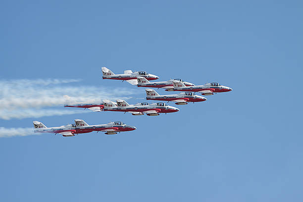 Snowbirds In Formation stock photo