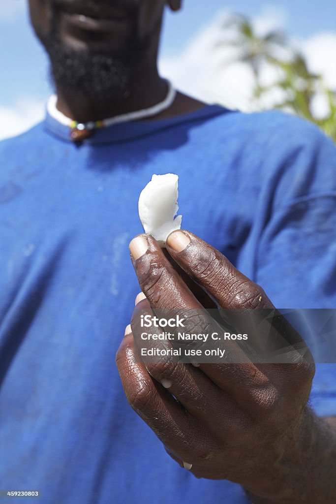 Homme détient tranche de noix de coco fraîchement coupées, à la Barbade, dans les Caraïbes - Photo de Adulte libre de droits