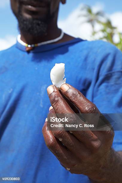 Photo libre de droit de Homme Détient Tranche De Noix De Coco Fraîchement Coupées À La Barbade Dans Les Caraïbes banque d'images et plus d'images libres de droit de Adulte