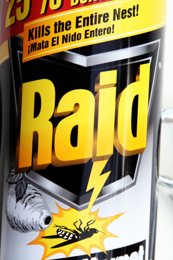 West Palm Beach, USA - August 27, 2011: This is a closeup view of a can of Raid Wasp and Hornet spray insecticide. Raid is manufactured by SC Johnson.