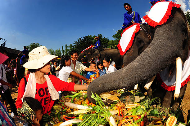 elefanti a buffet. - buffet thai cuisine asian ethnicity food foto e immagini stock