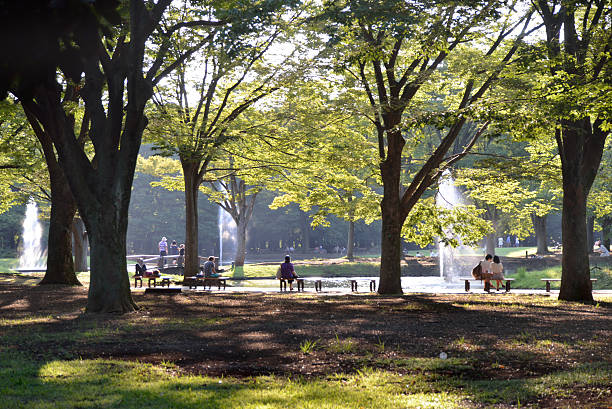 요요기 공원 중앙 도쿄 스톡 사진