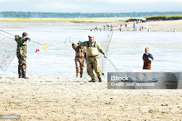 Pasta Pescar Com Rede - Fotografias de stock e mais imagens de Adulto - Adulto, Alasca, Ao Ar Livre