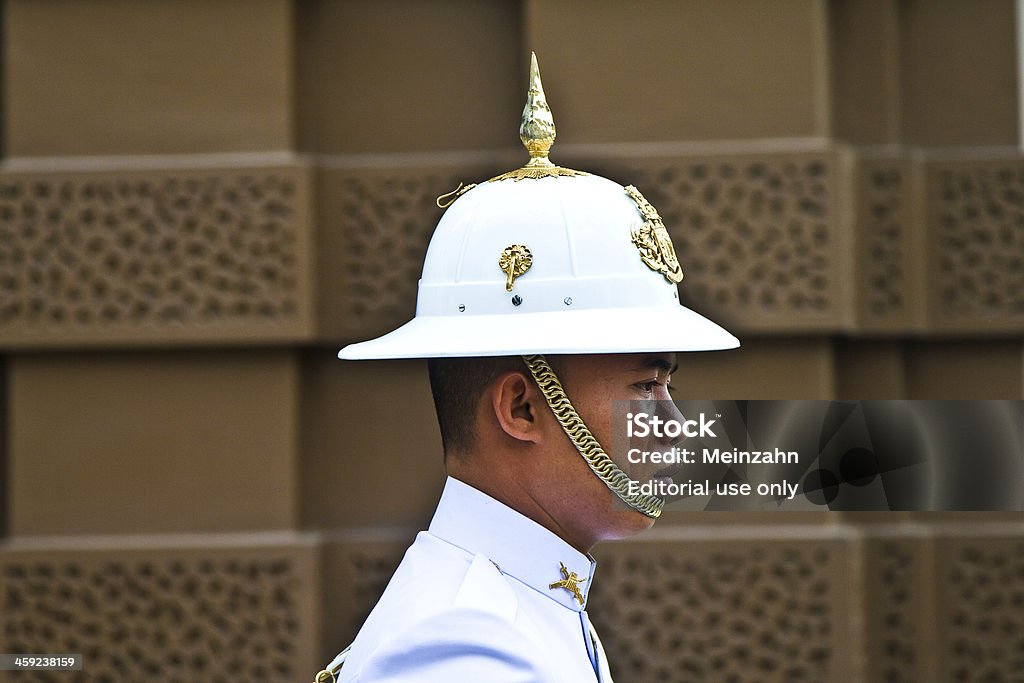 パレード王の王宮の衛兵 - アジア大陸のロイヤリティフリーストックフォト