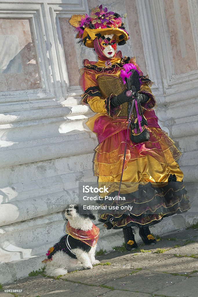 Bella maschera con cane in San Zacharias Venezia, Italia - Foto stock royalty-free di Abbigliamento mimetico