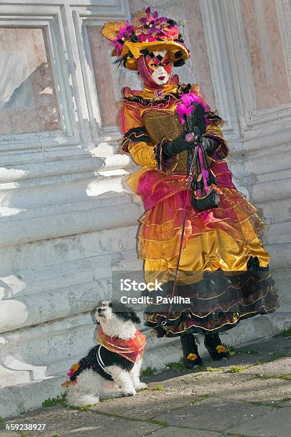 Bella Maschera Con Cane In San Zacharias Venezia Italia - Fotografie stock e altre immagini di Abbigliamento mimetico