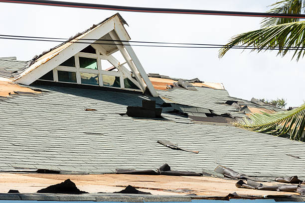 gebäude links in den ruinen folgenden super typhoon yan - storm damage stock-fotos und bilder