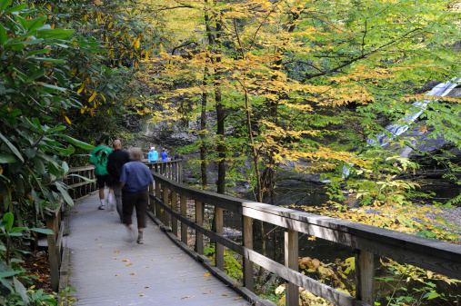 Dingmans Ferry, USA - September 29, 2013. People walking on boardwalk towards Dingmans Falls. Dingmans Falls with a plunge of 130 feet is the 2nd highest falls in Pennsylvania. It is located at Dingmans Ferry in the Pike County of Pennsylvania and a major attraction in Delaware Water Gap National Recreation Area.