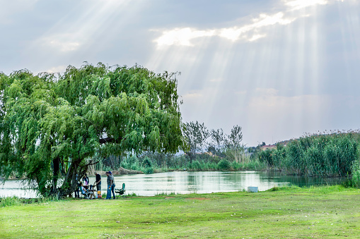 Johannesburg, Sotuh Africa - November, 16th 2013: A Picnic sunset at Rietvlei Farm and Lifestyle Centre in the southern parts of Johannesburg. People seen enjoying a picnic alongside a lake and under the willow tree. A beautiful streak of light seen through the dark clouds.