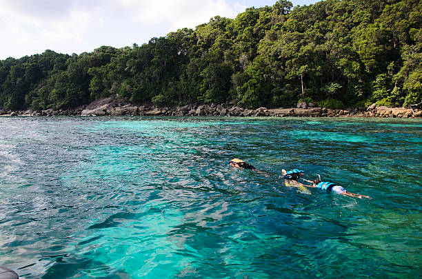 istock snorkeling in Tachai island Thailand 459242763