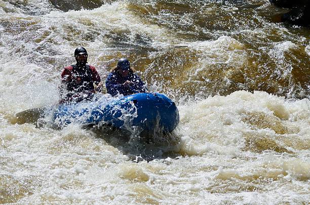 белая вода рафтинг, штат колорадо - rafting white water rafting river colorado стоковые фото и изображения