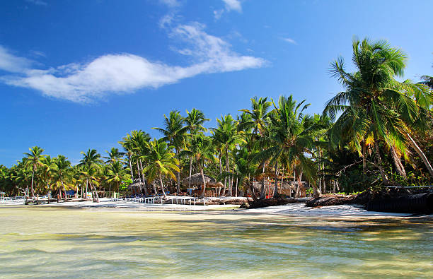 istock Cafe on caribbean sea beach 459247763